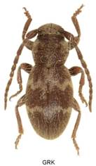 2 EAA_7160a dupl. xx.jpg